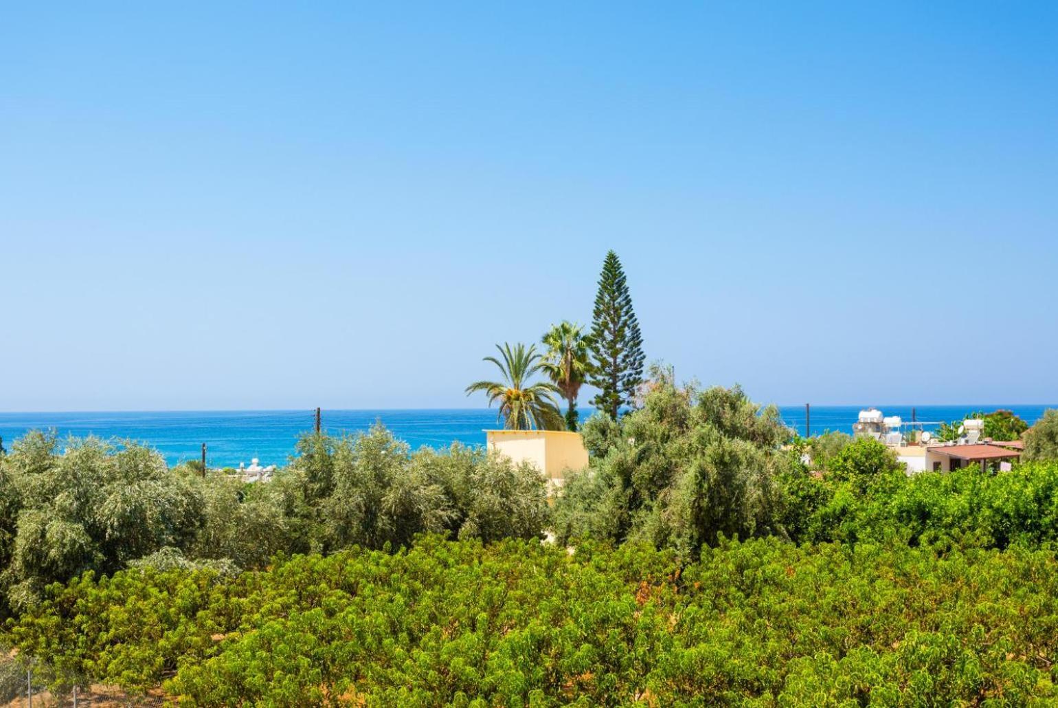 Villa Olivetta Kato Yialia Exterior foto